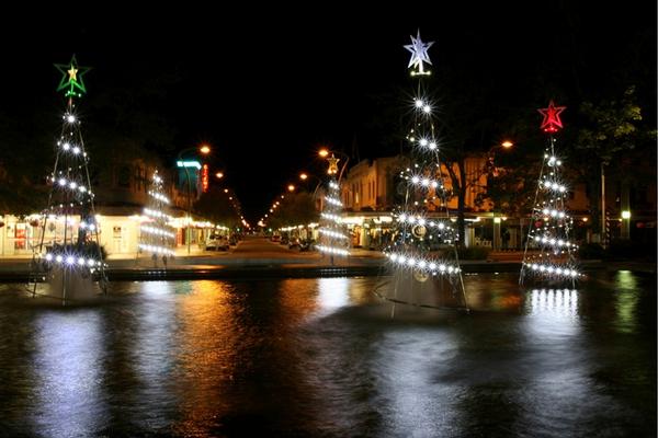 Christmas trees bring a festive look of Hastings CDB 